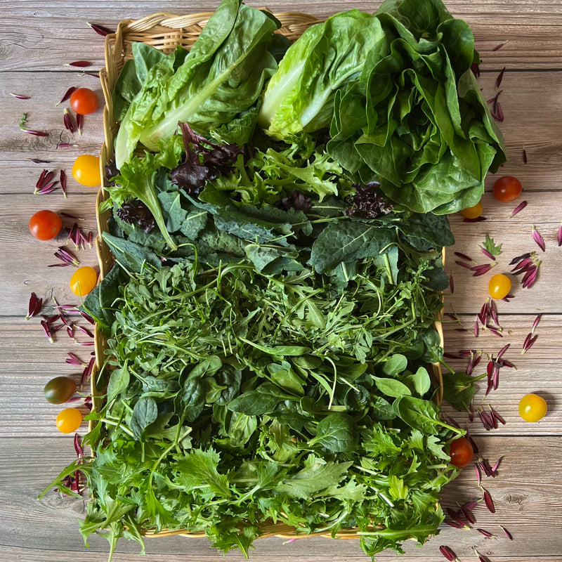 Greens From The Field