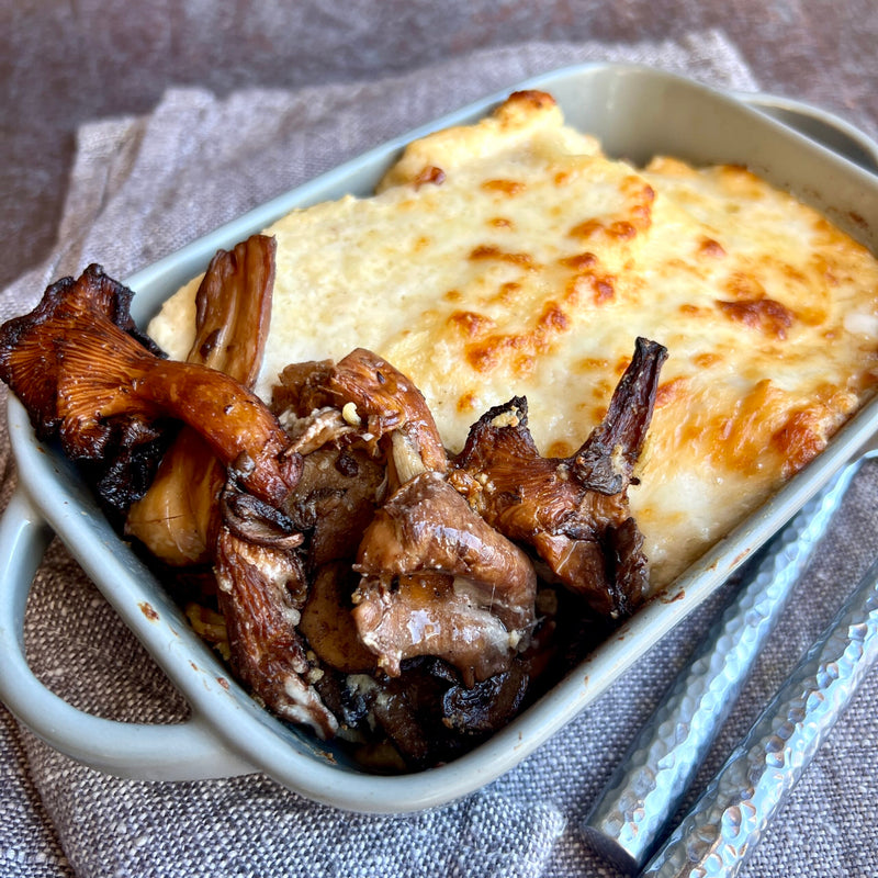 Creamy Mushroom Lasagna