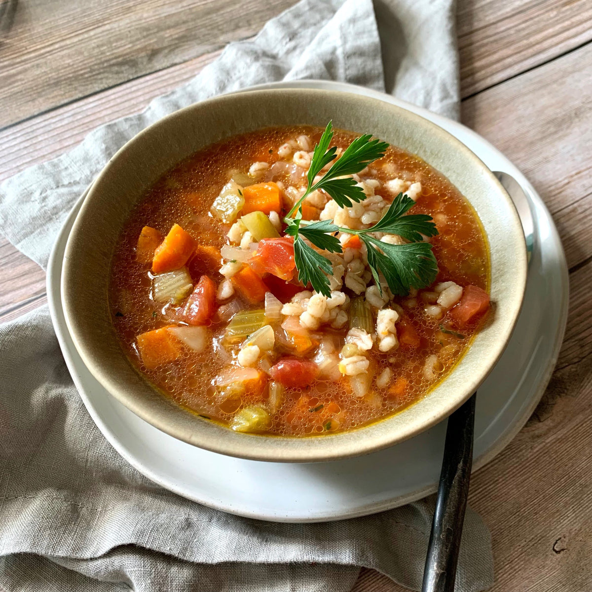 Vegetable Barley Soup